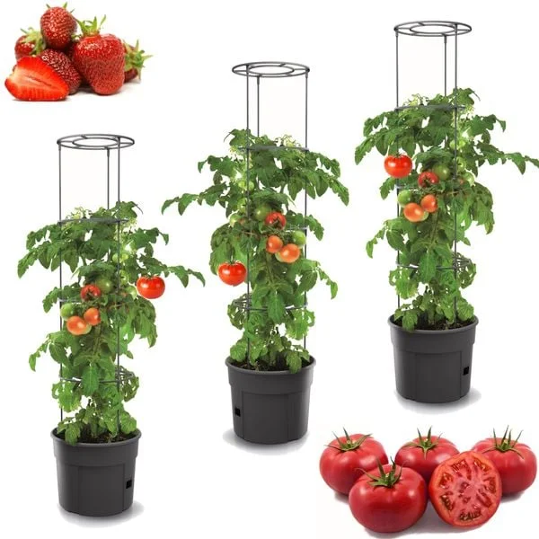 2026_05_26_1359924