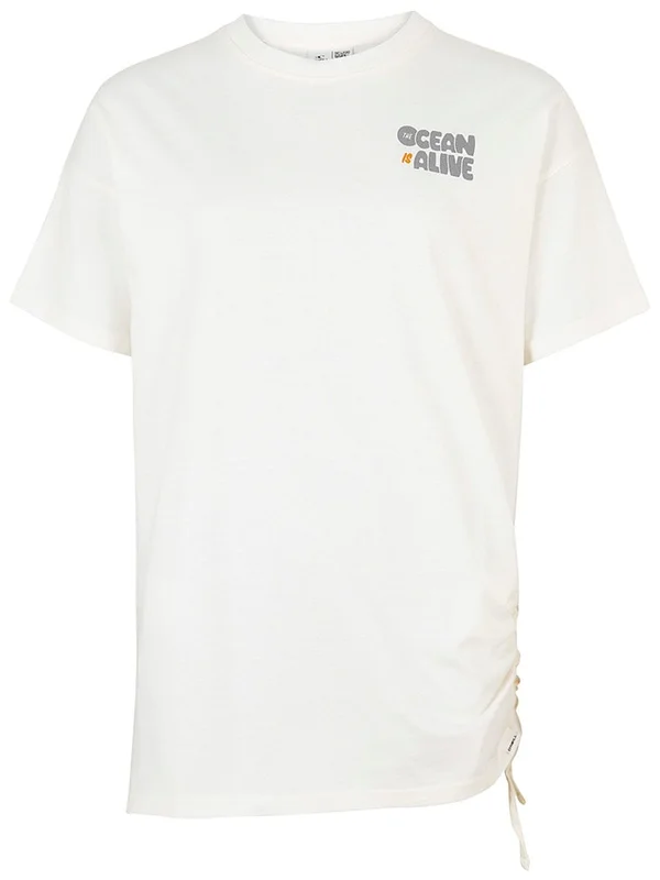 2026_05_29_338886